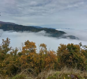 Virée hors du temps de la Croix Zimmermann au Vieil Armand - Soultz-Haut-Rhin - 5