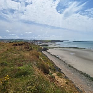 Littoral de Wimereux, dunes et criste marine - Wimereux - 26