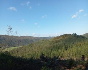 Rando au départ des Moulinots - Argentat-sur-Dordogne - 17