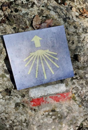 Via Aurelia et fraîcheur de la Cagne - La Gaude - 6