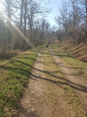 Balade sur les bords de la Cazine - Colondannes - 6