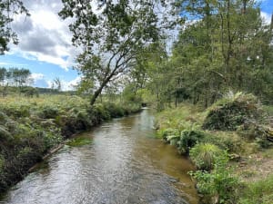 Balade d'Azur et Pont du Miey - Azur - 12