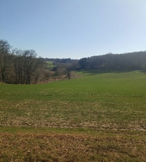 Balade sur les bords de la Cazine - Colondannes - 7