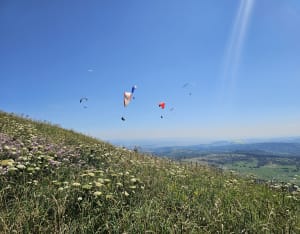 Du Puy de Dôme au Puy Pariou - Orcines - 8