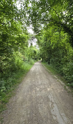 Promenade à Santes et observation des oiseaux - Houplin-Ancoisne - 8