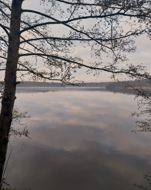 Depuis la Trouée d'Arenberg jusqu'au terril - Wallers - 22