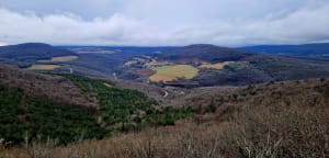 Autour du Mont Aigu et murmure de la forêt - Sainte-Marie-sur-Ouche - 15