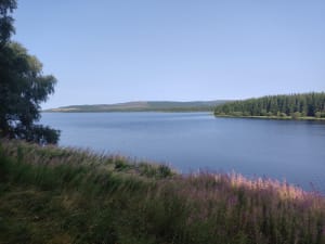 De tocht langs het Charpalmeer - Monts-de-Randon - 25