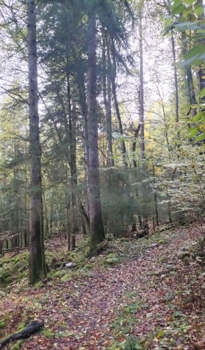 Boucle du Pont du Diable par Ivoray - Mieussy - 19