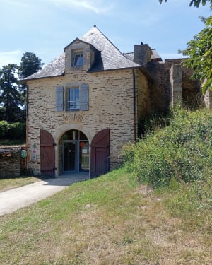 Forêt Abbaye de St Maurice Laïta, - Clohars-Carnoët - 7