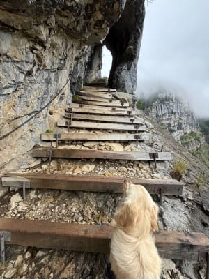 Belvédère du Pas du Roc - Fillière - 42