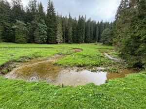 Belvédère du Pas du Roc - Fillière - 44