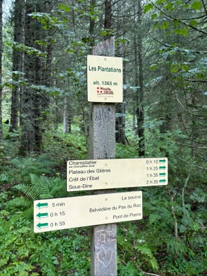 Belvédère du Pas du Roc - Fillière - 45
