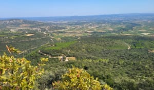 Roc des Deux-Vierges et monts immaculés - Arboras - 10