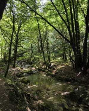 Cascade de la Brive - Marchamp - 20