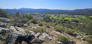Sur la crête Entre Brignoles et Camps la Source Camps la sou - Brignoles - 11