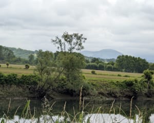 Balade chemin de Halage Bassussary - P - 4