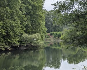 Balade chemin de Halage Bassussary - P - 5