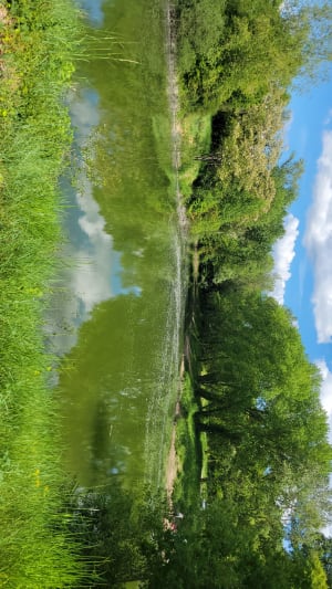 Beaugency, flânerie ligérienne et citadine - Beaugency - 7