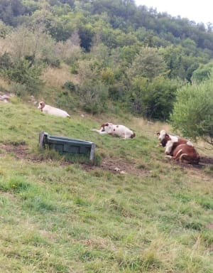 Randonnée au pic de l'Aigle et belvédère des 4 lacs - Les Rollets, La Chaux-du-Dombief - 39