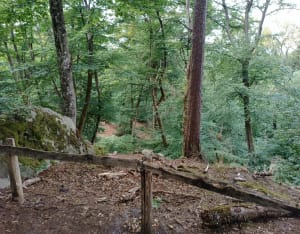 Circuit des points de vue, fontaines et grottes, par la Tour Denecourt - Avon - 22