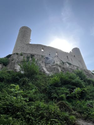 Chateau spesbourg - haut Andlau rocher Sainte Richarde - Andlau - 4
