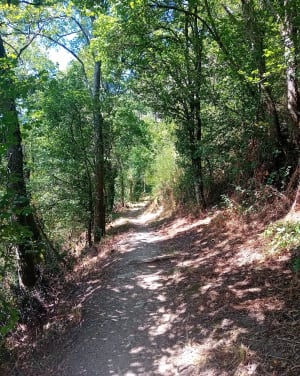 Suikerbroodberg - Rochers des Parcs: natuur in al haar vormen - Le Vey - 66