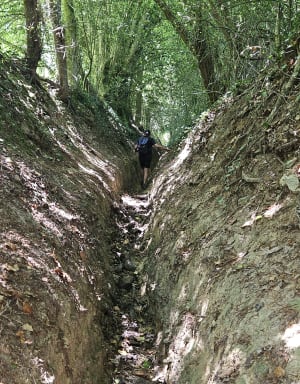 Balade à Hermival-les-Vaux - Hermival-les-Vaux - 7