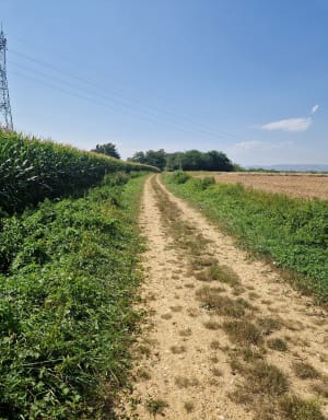 Sur les pas du curé d’Ars - Ken - 6