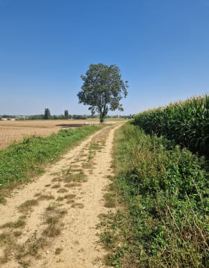 Sur les pas du curé d’Ars - Ken - 7