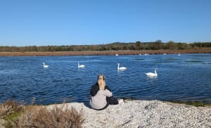 La petite Camargue à St Chamas - JOSE - 19
