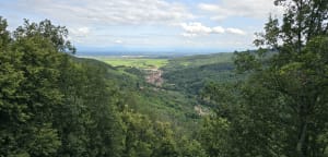 Château d'Andlau, auberge Hungerplatz et  château Spesbourg. - Mittelbergheim - 19