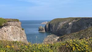 De la lande aux deux caps - Plévenon - 14