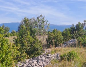 Le col de la Ligne - Murs - 7