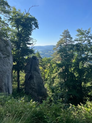 Le Jura alsacien à Wolschwiller - Wolschwiller - 2