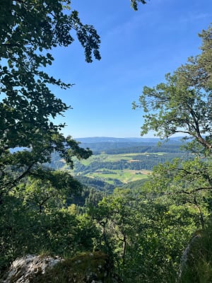 Le Jura alsacien à Wolschwiller - Wolschwiller - 3