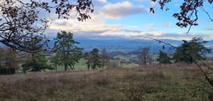Sentier des crêtes - Ville-sur-Jarnioux - 12
