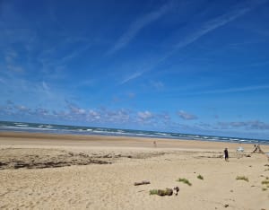 Pointe de Gatseau, et Maumusson - Saint-Trojan-les-Bains - 21