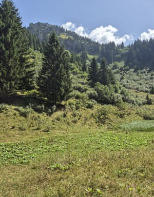 Du Mont d’Evian au Clos aux Moines - Saint-Jean-d'Aulps - 4