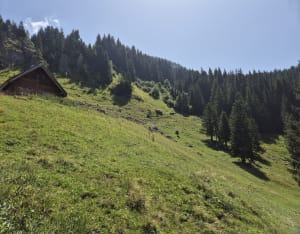 Du Mont d’Evian au Clos aux Moines - Saint-Jean-d'Aulps - 5