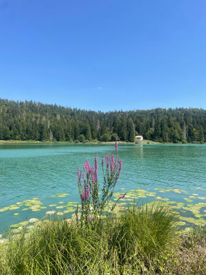 Lac de Genin - Charix - 14