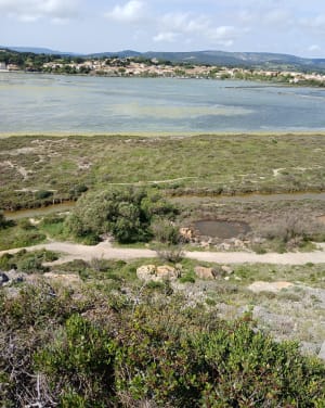 L'Etang du Doul - Peyriac-de-Mer - 6