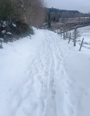 Place de la Rivière vers le Pilat par Planfoy - Saint-Étienne - 27