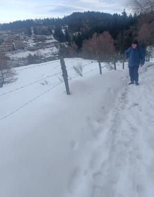Place de la Rivière vers le Pilat par Planfoy - Saint-Étienne - 28