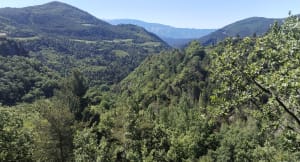 Montagne de Peitieux et forêt des Baronnies - Bénivay-Ollon - 5