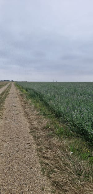 Chemin de la roue des carriers et village classé - Lavardin - 5
