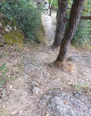 Tour des communaux à Trept - Trept - 4
