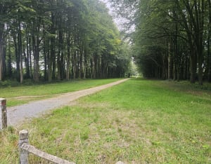 Fouesnant Gouesnach - Fouesnant - 4