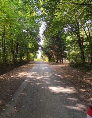 Tour des communaux à Trept - Trept - 9