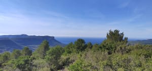 Mont Gibaou, Baou Redon et grotte des Janots - Cassis - 16
